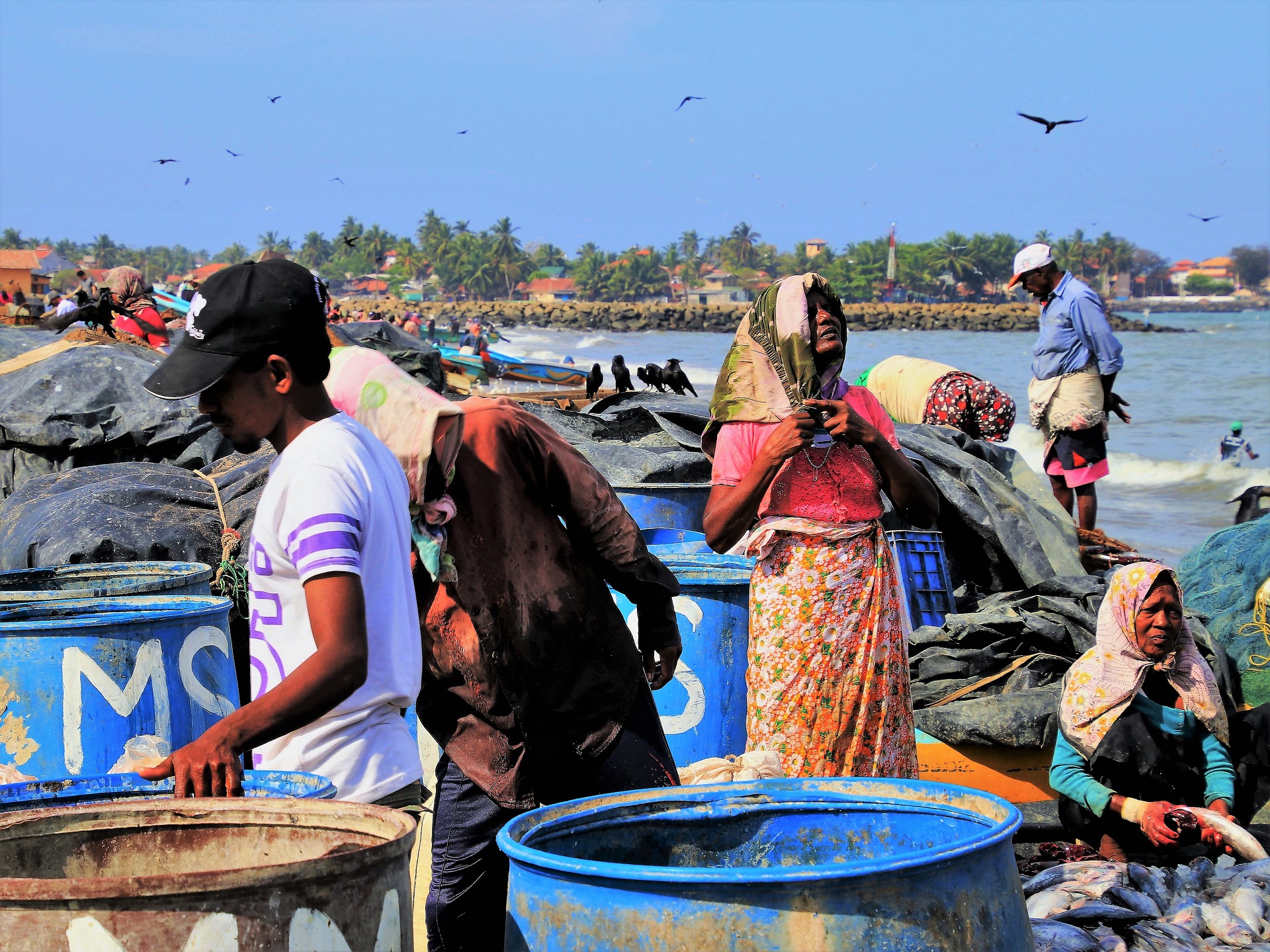 Sri Lankan fishermen working on the river bank.
