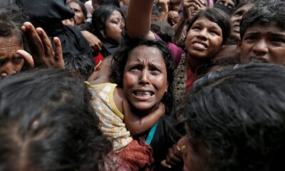 rohingya muslim plight