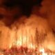wildfires in Europe: Extreme Heatwaves